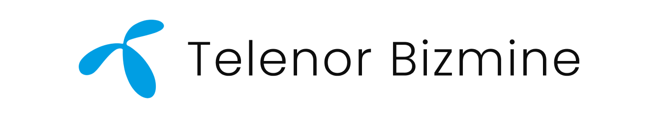 Bizmine Analytics - Business Intelligence Platform